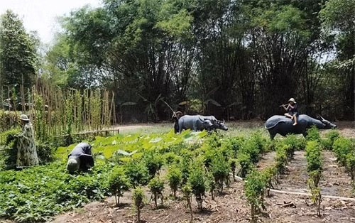 再现古芝解放区日常生活的场景（图片来源：人民军队报）