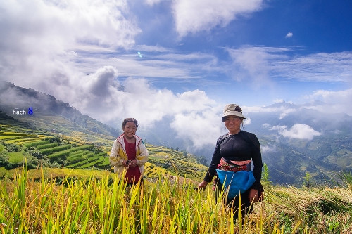 意迪乡共有15个村寨，主要是赫蒙族、瑶族、热依族、哈尼族等各族同胞（图片来源：vnexpress.net）