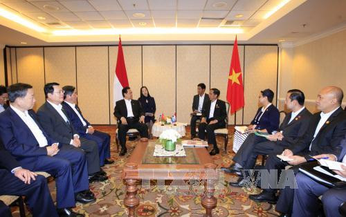  越南政府总理阮晋勇与印尼总统佐科 · 维多多举行了双边会晤。（图片来源：越通社）