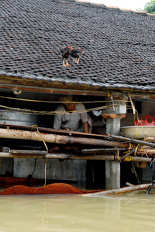 2008年河内遭受严重暴雨洪水，位于美德县安富乡的一个村子被淹。（图片来源：《人民报网》）