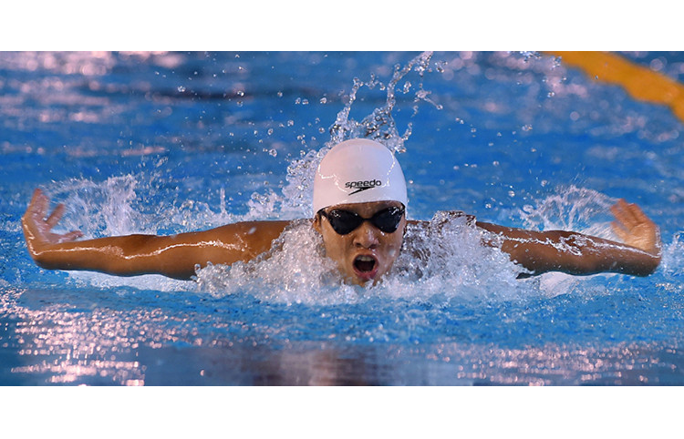 2016年国家游泳锦标赛。（图片来源：《人民报网》）