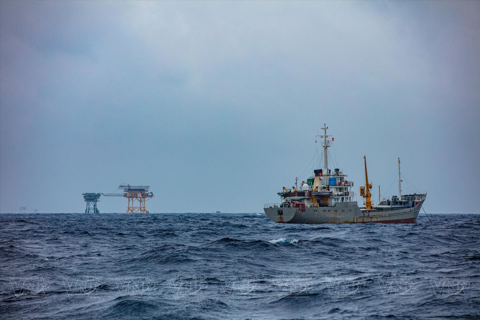 DK1海上高脚屋一直努力克服困难，积极生产，保障粮食食品充足。图自越通社/越南画报