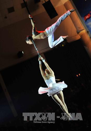 越南杂技团艺术家的表演节目。（图片来源：越通社）