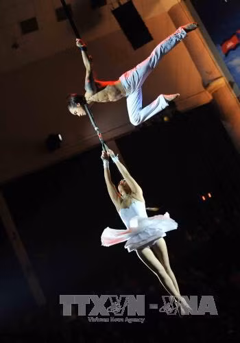 越南杂技团艺术家的表演节目。（图片来源：越通社）