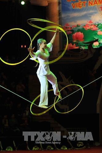 越南杂技团艺术家的表演节目。（图片来源：越通社）