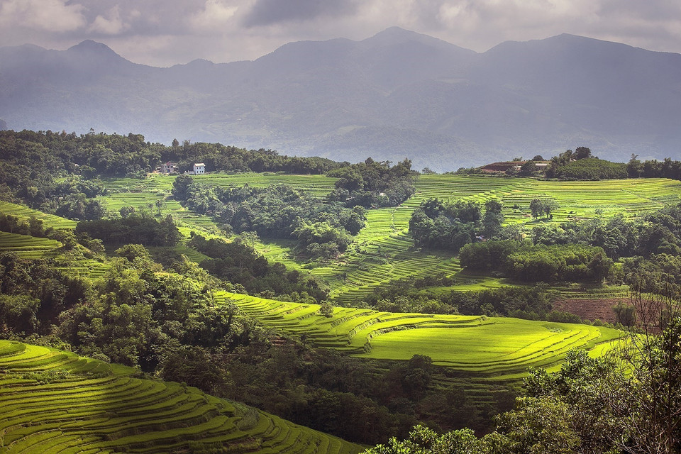 乐山县乃至和平省政府已出台多项合适措施，促进当地经济、旅游等领域的发展。图自越通社