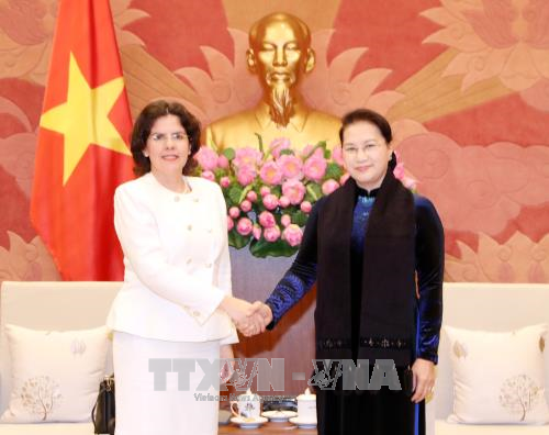 越南国会主席阮氏金银（右）与古巴驻越南大使莱尼斯•托雷斯•里维拉（Lianys Torres Rivera）。（图片来源：越通社）