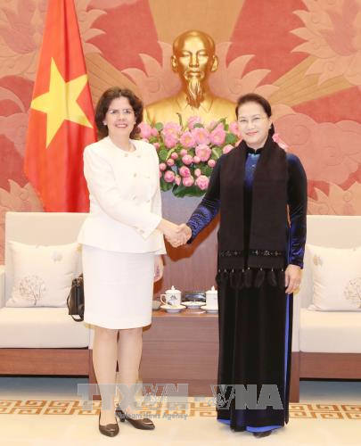 越南国会主席阮氏金银（右）与古巴驻越南大使莱尼斯•托雷斯•里维拉（Lianys Torres Rivera）。（图片来源：越通社）