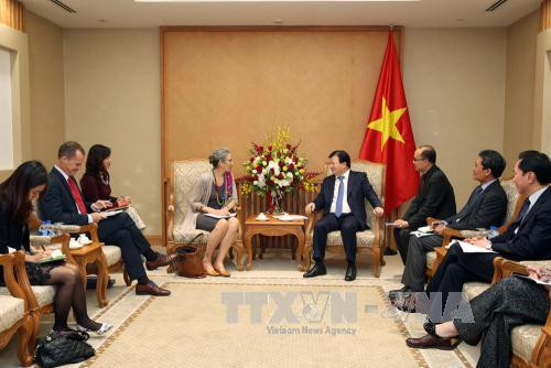 政府副总理郑廷勇（右）28日下午在河内会见荷兰驻越南大使尼恩可。（图片来源：越通社）