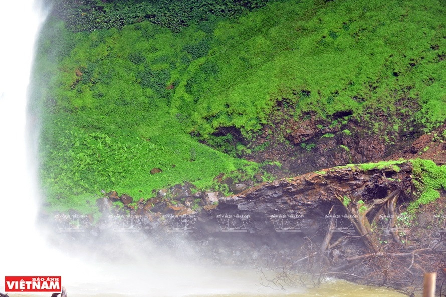莲农瀑布倒入德尼溪里造成许多独特的石块，令人印象深刻。图片来源：越通社