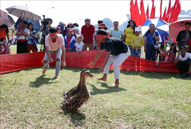 莱州各民族文化体育旅游节期间举行的蒙眼抓鸭子比赛。越通社记者 贵忠 摄
