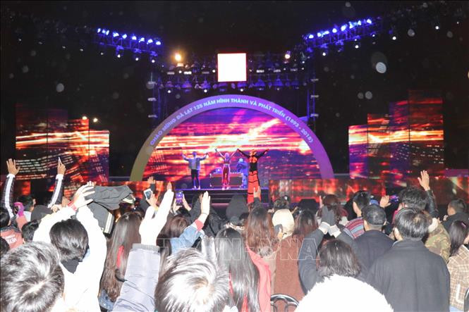 在林同省大叻市林园广场举行的倒计时带音乐晚会。越通社记者邓俊 摄