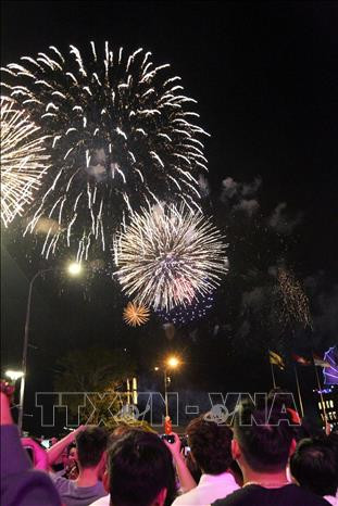 胡志明市绽放烟花，迎来2019年新年。越通社记者青武 摄