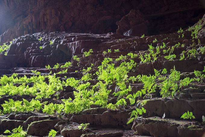 Pygmy洞穴。（图片来源：互联网）