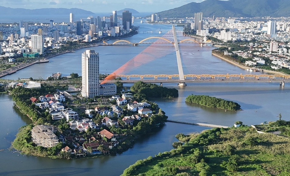 岘港市陈氏李桥脚下的韩江浮丘已成为近千只白鹭栖息之地。图自越通社