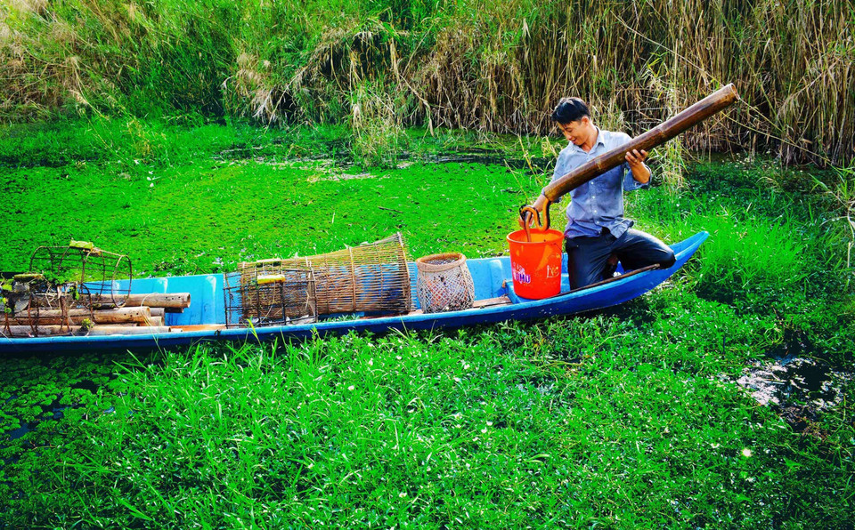 来到幽明下旅游时，游客可以参观抓鳗鱼体验活动。图自越通社