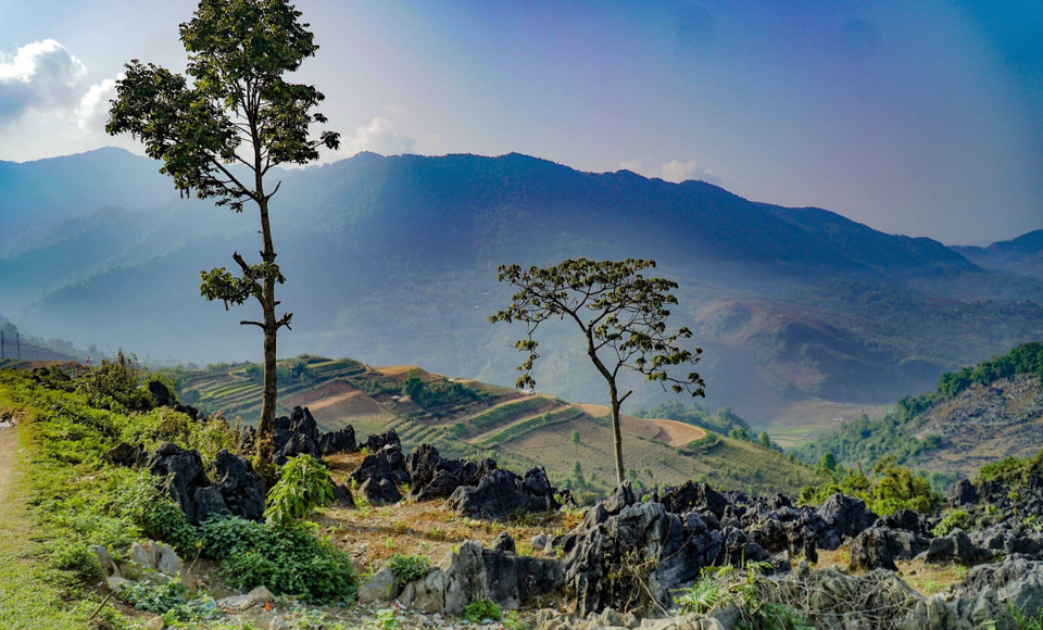当地同胞在左泙岩石高原上盖房子。图自越通社