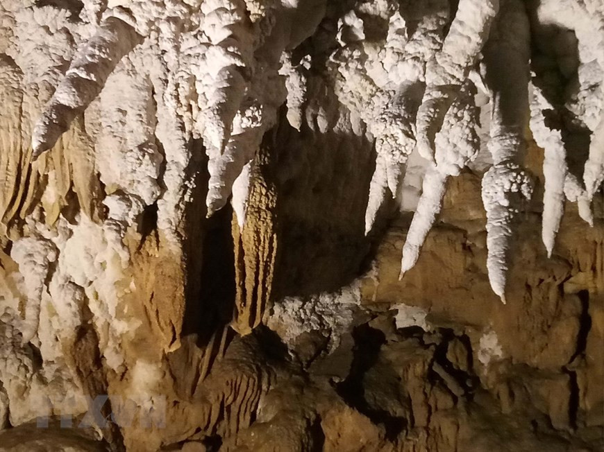 洞中有多种乳石，造型美丽迷人。越通社记者春进 摄