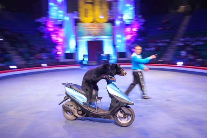 表演节目之一（图片来源：越通社）