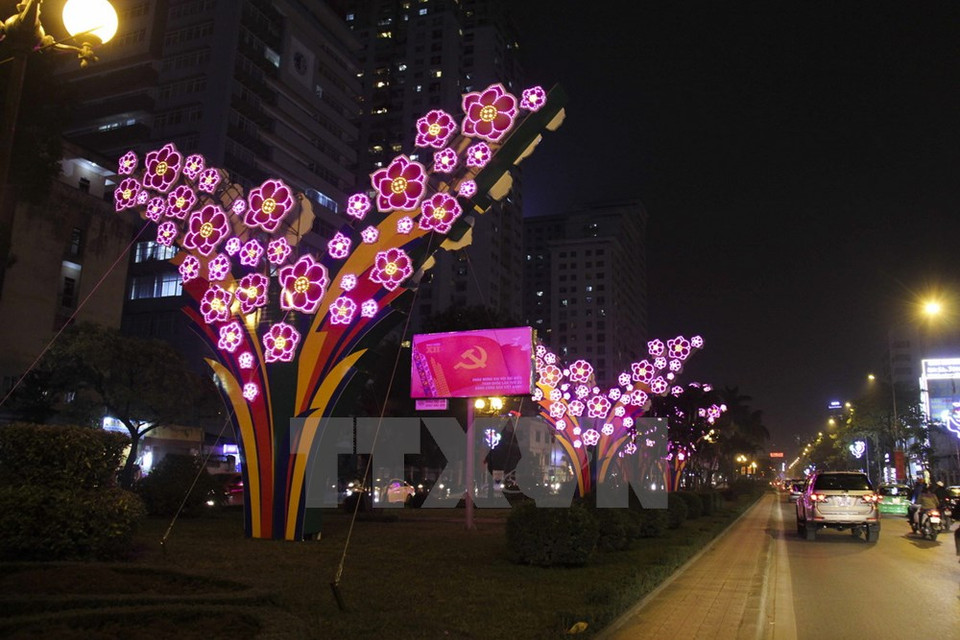 阮志清街五颜六色的花灯。(图片来源：越通社）