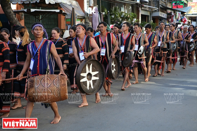 埃第、摩农、巴拿、朱鲁、嘉莱等民族艺术家的服饰丰富多彩，目不暇接。