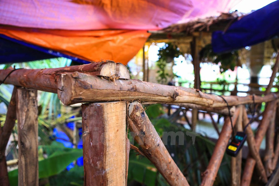 店内装饰物品全部采用纯实木制作,有亲近自然之感。（图片来源：越通社）