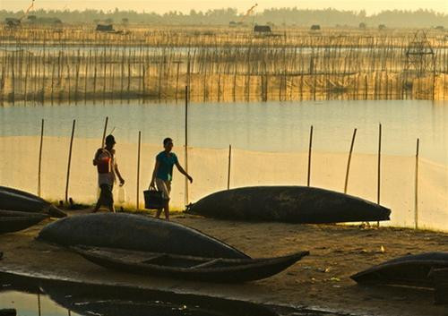 ​​蜻蜓潭顺化泻湖之美（图片来源：越共电子报）