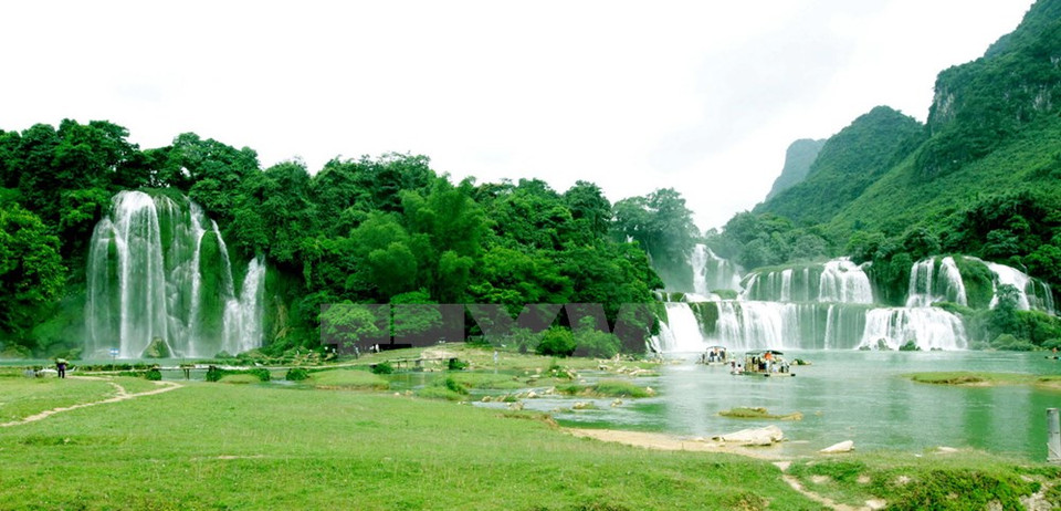 板约瀑布——充满诗情画意的人间仙境（图片来源：越通社） （完）