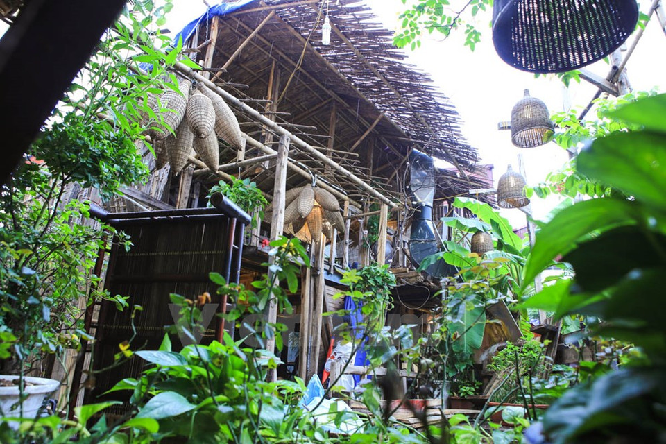 店里种着很多树木，给食客亲近自然的感觉。（图片来源：越通社）