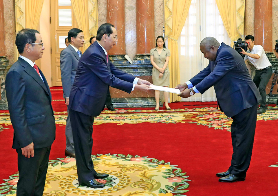 陈大光接受莫桑比克驻越大使莱昂纳多佩内递交的国书。越通社记者 颜创 摄