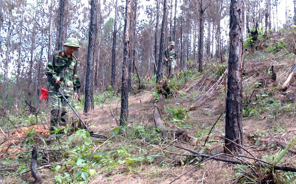 越南广宁省安全转移处理一枚225公斤炸弹。越通社记者 文德 摄