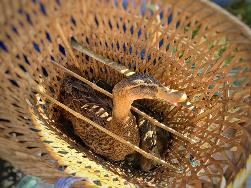 老街省巴刹县伊子集市虽不是老街省北河县最具特色的集市，但独特的地方在于神奇的云海。来到伊子地上集市，游客可以买到各种颇具特色的产品，如手工艺品、蔬菜、水果、土锦布、布料、家禽等。图为山区集市上的一家彩色服装专卖店。图自Vietnam+