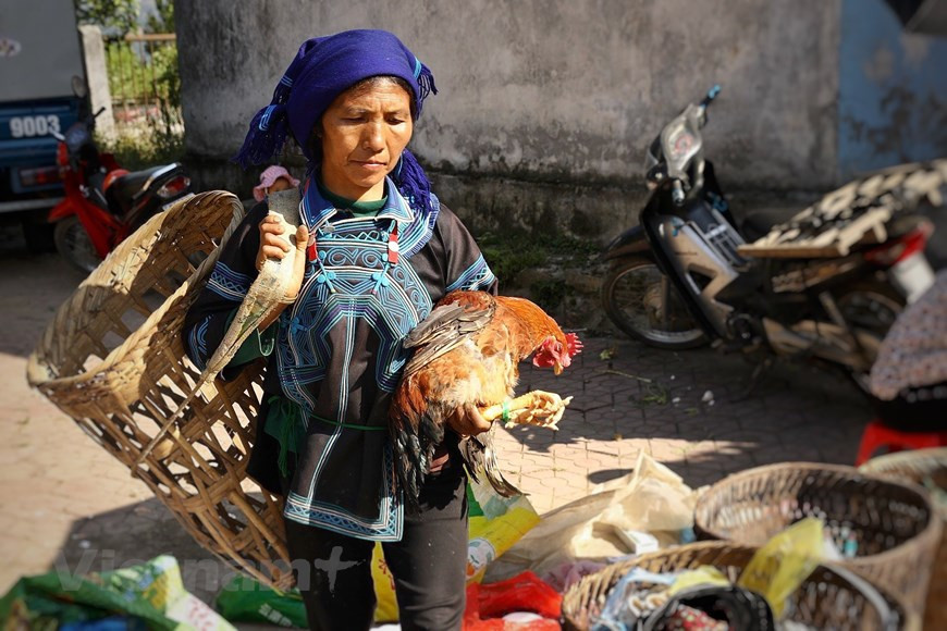 每周末举行的地上集市是老街省巴刹县伊子乡哈尼族同胞的特色文化，迄今仍得到维持。在伊子集市上，民族同胞们将自己最为特色的产品，如黑猪肉带到集市上出售。如今，同胞们的销售风格也十分“文明”，在客户需要时将愿意把食品清洗和加工。图自Vietnam+
