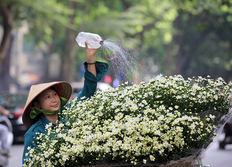 （图片来源：人民报网）