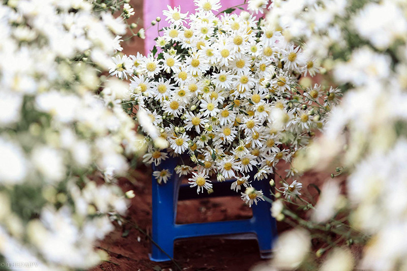 （图片来源：人民报网）