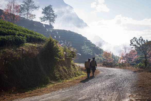 春天的脚步。图自互联网