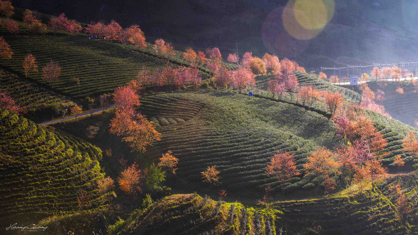 这里的美无法用语言来形容。图自互联网