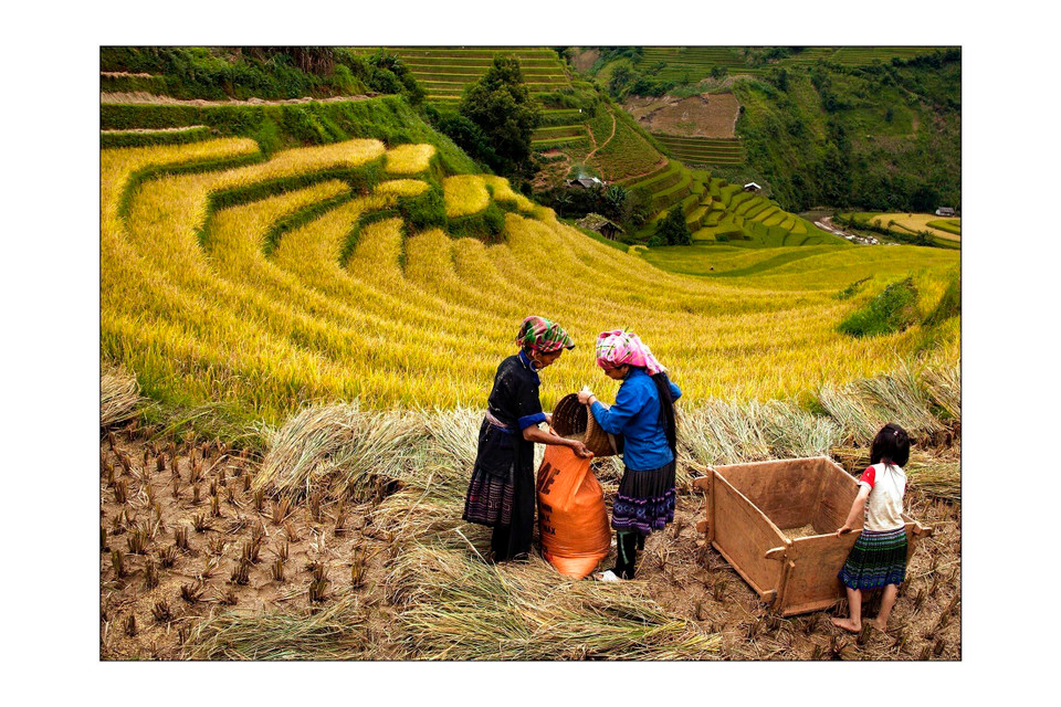  木江界秋天非常灿烂,是最美的时间。越通社记者杜俊英 摄