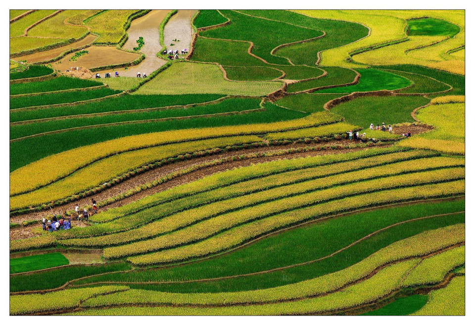  木江界以美得如诗如画的梯田风景留住游客的脚步。越通社记者杜俊英 摄