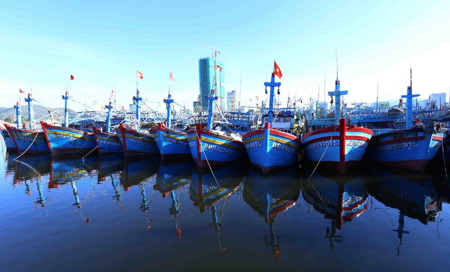 越南正保持与东海沿岸国家之间的合作共谋发展机制，如越南与马来西亚重叠大陆架矿产资源合作机制、越南与中国北部湾渔业和石油天然气合作机制等。图中：平定省渔民的捕捞船队。越通社记者 武生 摄