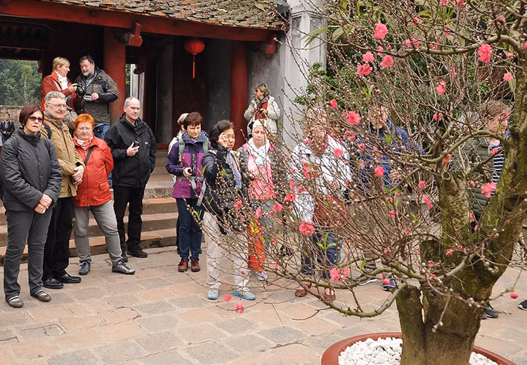 外国旅游团欣赏桃花之美。（图片来源： 人民报网）