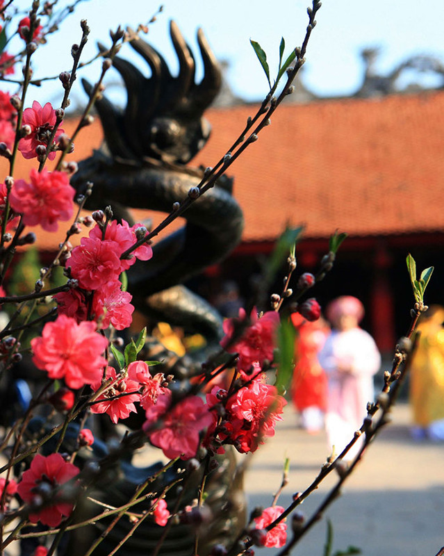 新春已来到大地，我们对新的一年充满期望。（图片来源：人民报网）