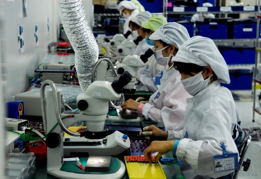 作为社会主要劳动力，越南妇女不断发挥创意创新精神，参加社会生产各方面，为推动社会发展献计出力。图自 越通社