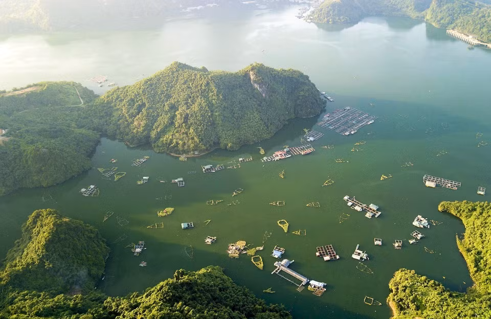 促进网箱养鱼与旅游业相结合是在和平着力发展的方向。图自越通社