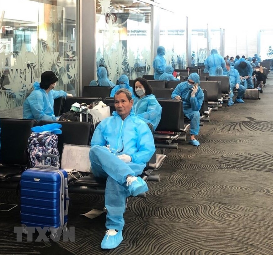 越南公民从奥克兰机场飞往悉尼机场并乘坐越南航空公司的航班回国。（图自越通社）