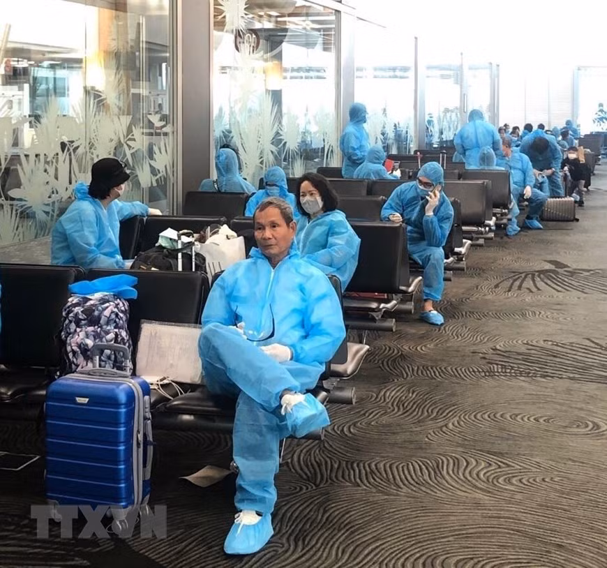 越南公民从奥克兰机场飞往悉尼机场并乘坐越南航空公司的航班回国。（图自越通社）