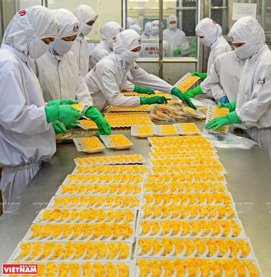 截至目前，越南向世界90个市场出口虾类，其中有欧洲、美国、日本、韩国等大市场。图自越通社/越南画报