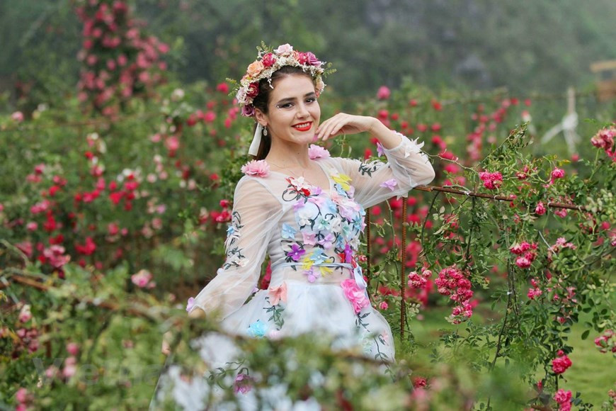 其中，让人印象最深刻的是沙巴独有的鲜艳红色爬藤玫瑰。图自越通社