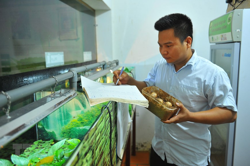 工作人员根据记录表检查龟卵情况。越通社记者 明德 摄。
