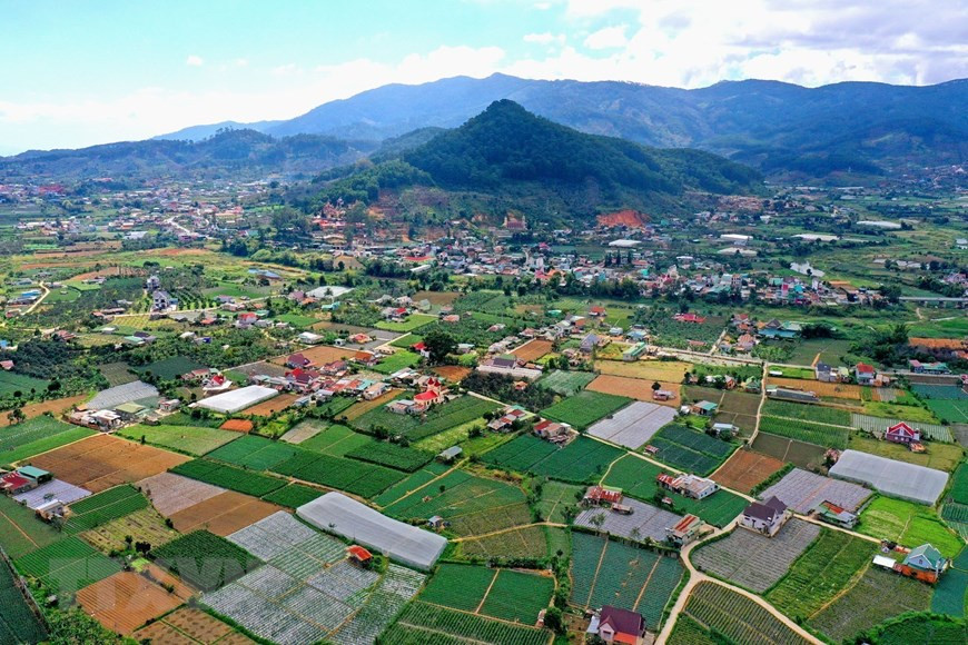 面向建设智慧农业体系，林同省单阳县已成立高技术应用农业区，为当地经济社会发展提供前提。图自越通社